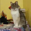 Отзыв от Дина Сидорова